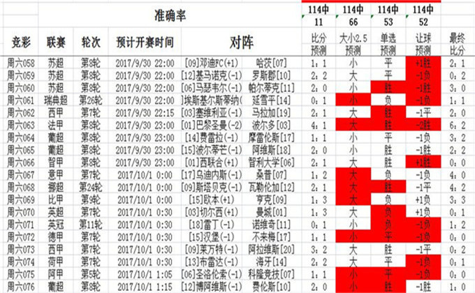 2024澳彩免费公开资料查询|全面释义解释落实