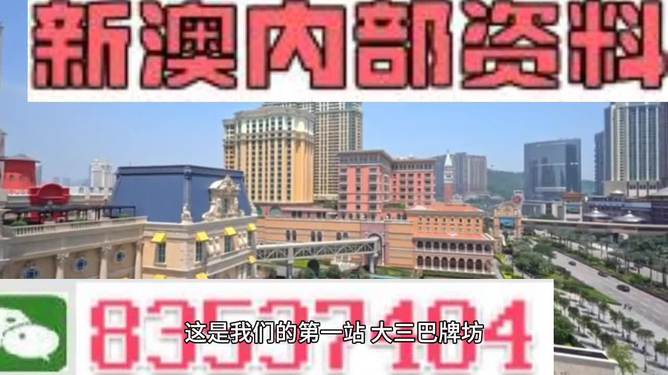 2024澳门精准正版资料|精选解释解析落实