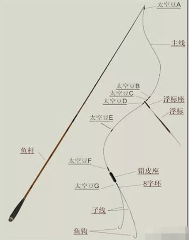 主线1.5子线大力马，钓鱼中的秘密武器