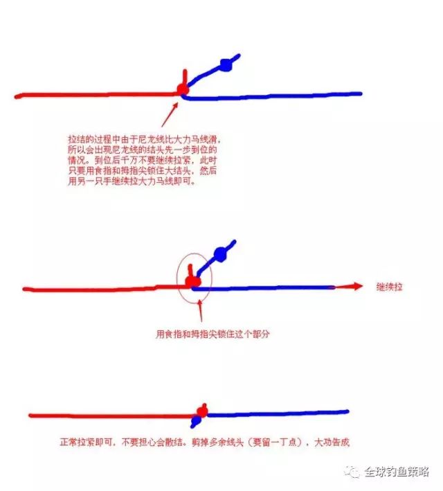 大力马主线与子线组合的魅力，6主线与5子线的完美结合