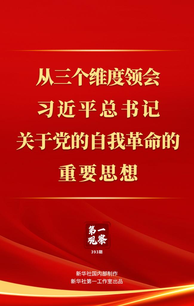 发挥基层党组织政治引领作用，推动社会进步与发展的关键力量