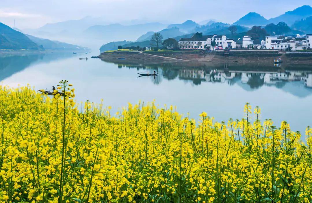 深渡到千岛湖的游轮之旅，探寻神秘的地址与美丽的湖光山色