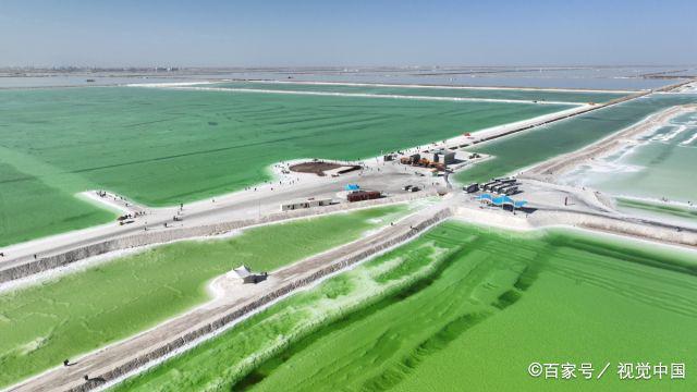 千岛湖鸿飞运输公司的地址及其业务概述