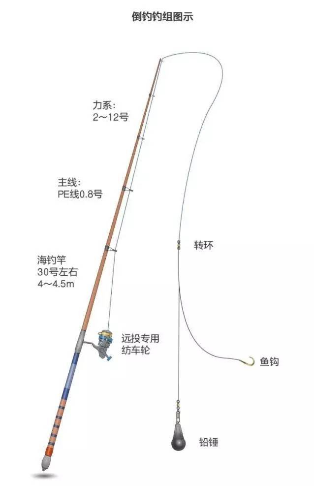 进口高档主线线组大力马，引领渔线技术革新，塑造钓鱼新体验