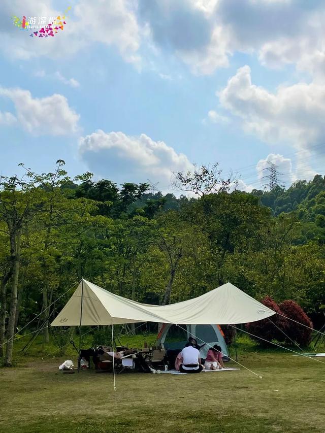 深圳森林露营好去处