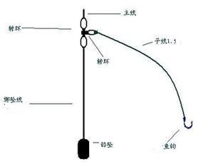 大力马主线对应线号，钓鱼中的秘密武器