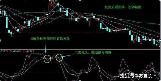 大力马线作为主线的优缺点探讨