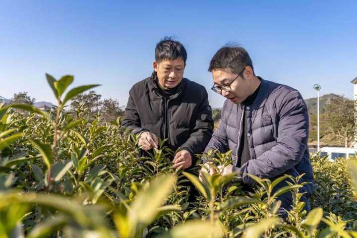 基层工作实际，探索、挑战与经验分享