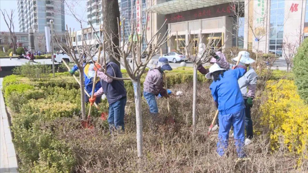 室内绿植盆栽，便宜且绿意盎然的选择