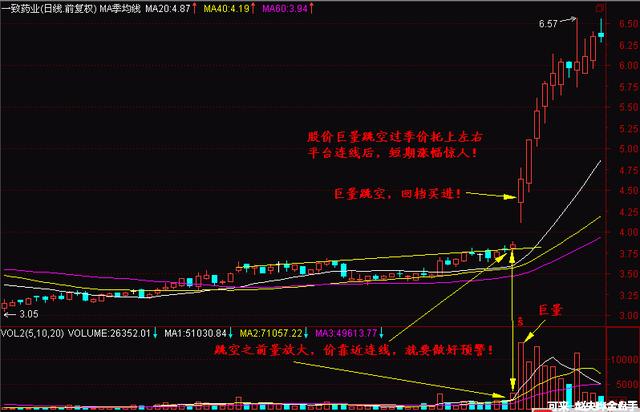 大力马主线与子线的搭配策略，实现高效与稳定的完美结合