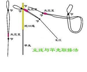 鱼线主线大力马两线对接技术解析与应用探讨