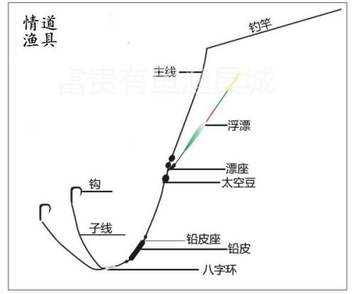 大力马鱼线主线，钓鱼中的关键要素与优势分析