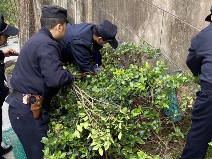 千岛湖城管执法支队地址及其重要职责与影响