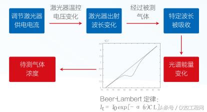 大力马鱼线在海竿中的应用及其优势分析