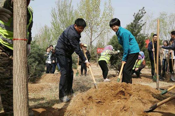 绿植花卉室内盆栽与办公室环境的和谐共生