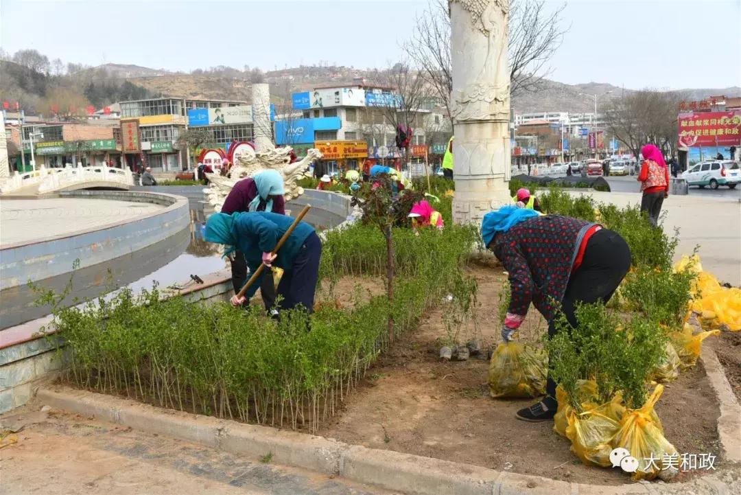 室内绿植盆栽丁香，美化家居的优雅之选