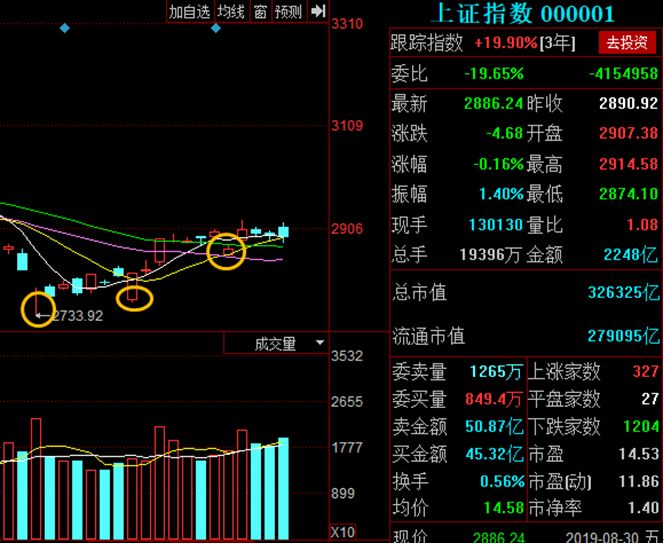 大力马鱼线作为主线，性能、应用与未来发展