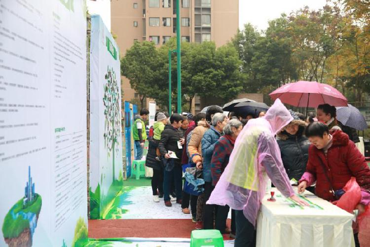 绿植盆栽室内鱼嘴花的魅力与养护技巧