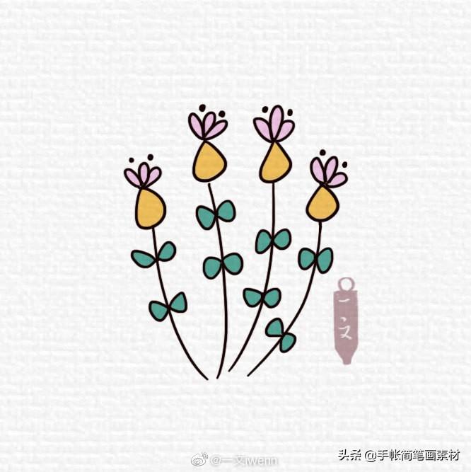 绿植室内小盆栽与简笔画的世界