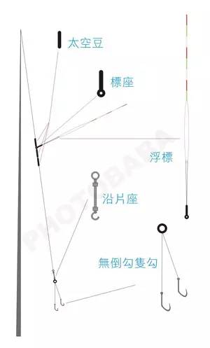 大力马鱼线主线全部，深度解析与应用指南