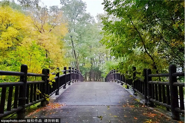 北京奥林匹克公园步道的魅力之旅