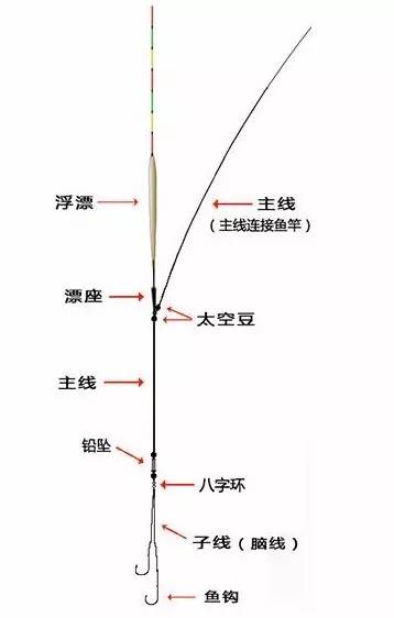 大力马线伊势尼主线，探索现代钓鱼技术的核心要素