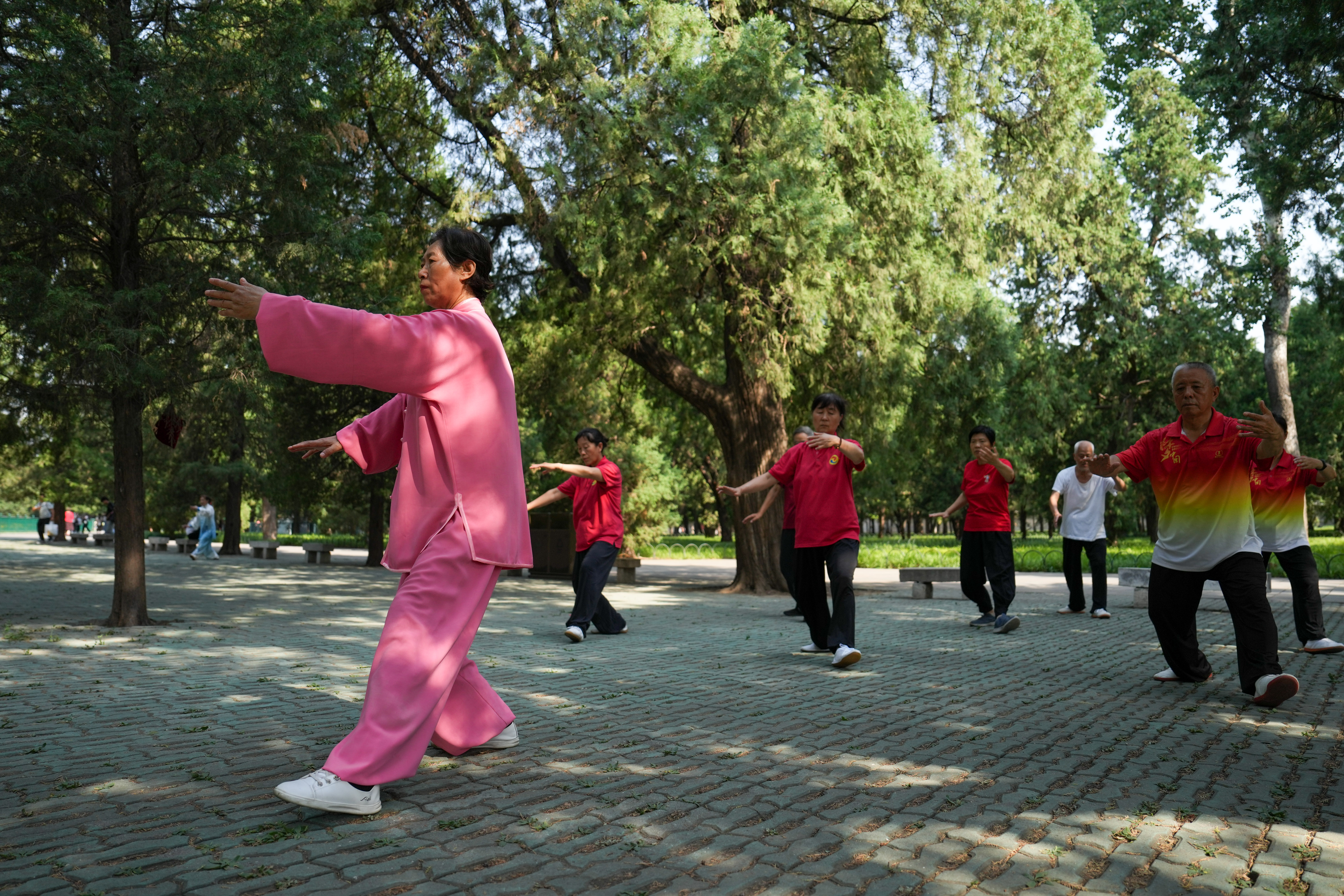 北京奥林匹克公园太极拳，传统与现代的完美融合