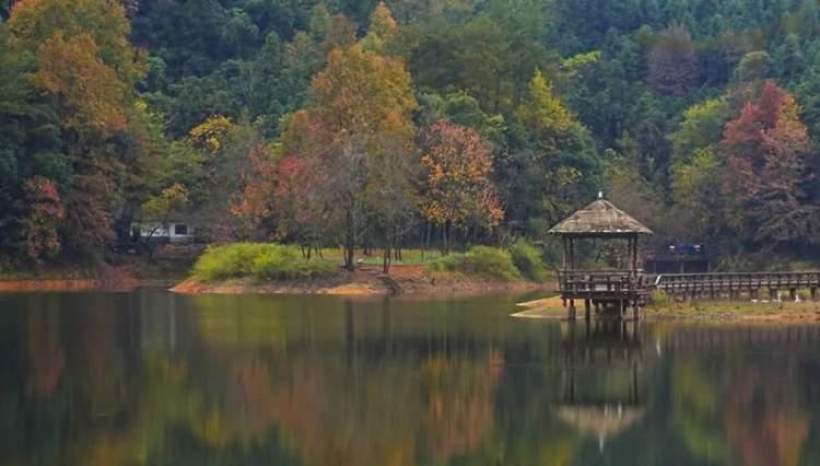 杭黄高铁千岛湖站地址及其周边环境与影响