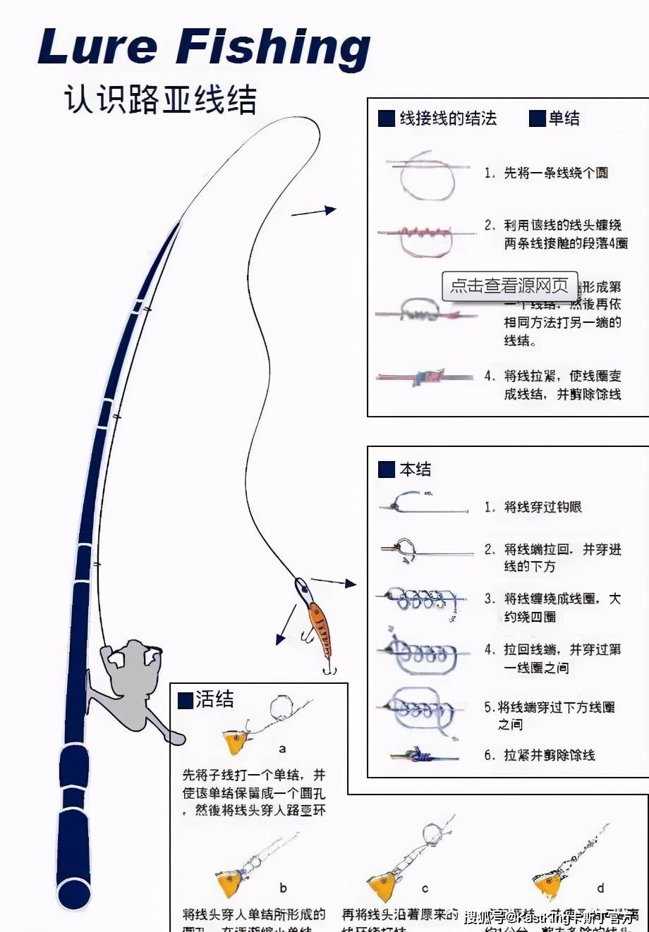 台钓尼龙主线与大力马线的比较及应用探讨