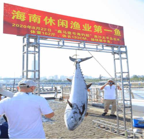 大力马成品线主线，引领现代渔业与户外活动的创新力量