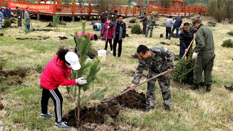 室内绿植盆栽与外边的绿植大棵，美化生活的绿色力量