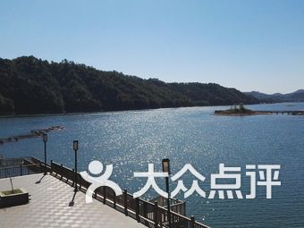 千岛湖鱼儿家园，探寻隐匿于水中的生态家园地址