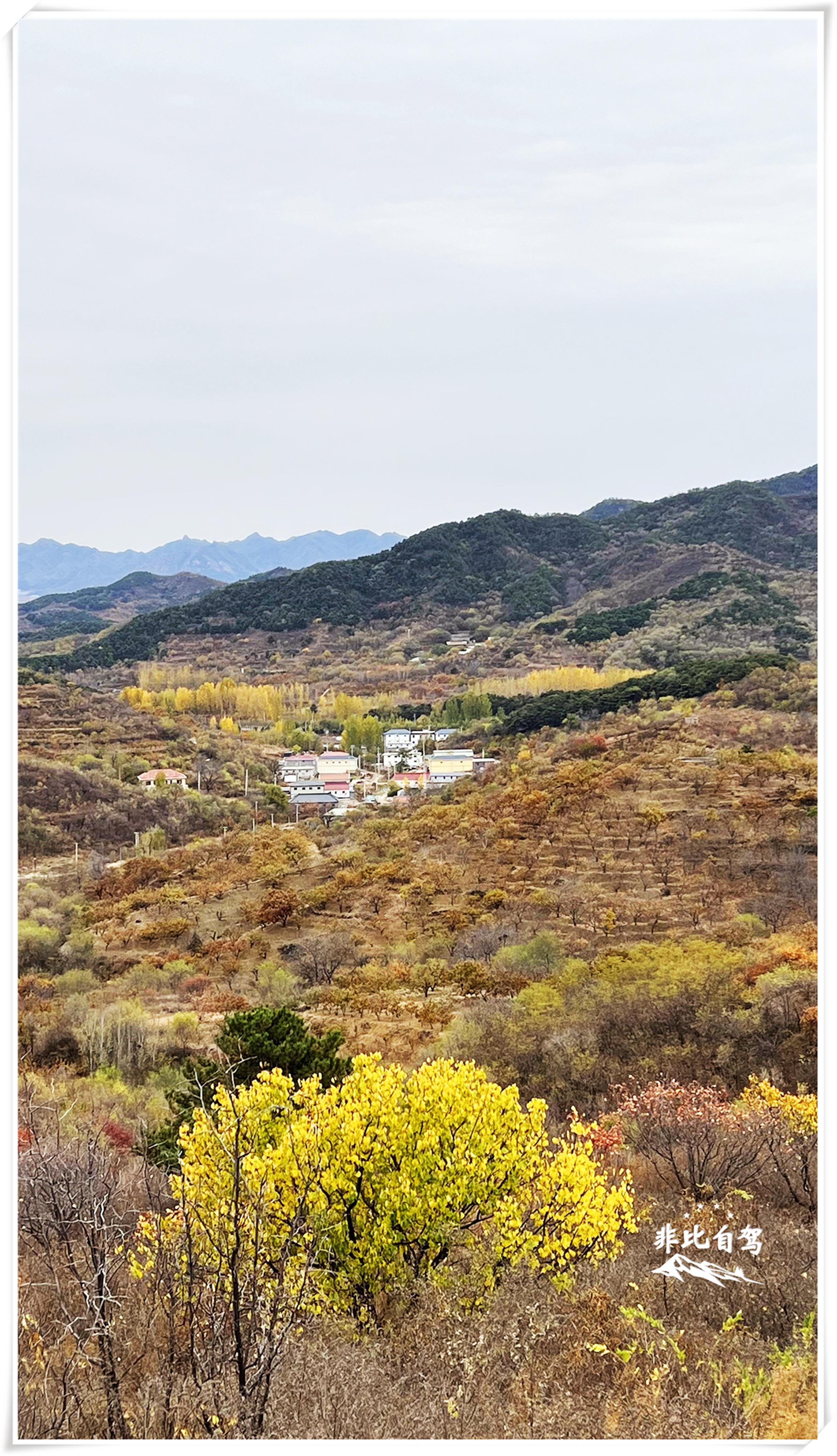 千岛湖红叶湾秋景——梦幻般的自然胜地地址