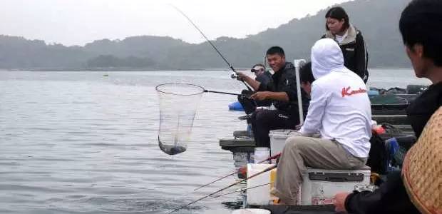 千岛湖严家水库钓鱼胜地，探寻最佳钓鱼地点与体验丰富的钓鱼文化