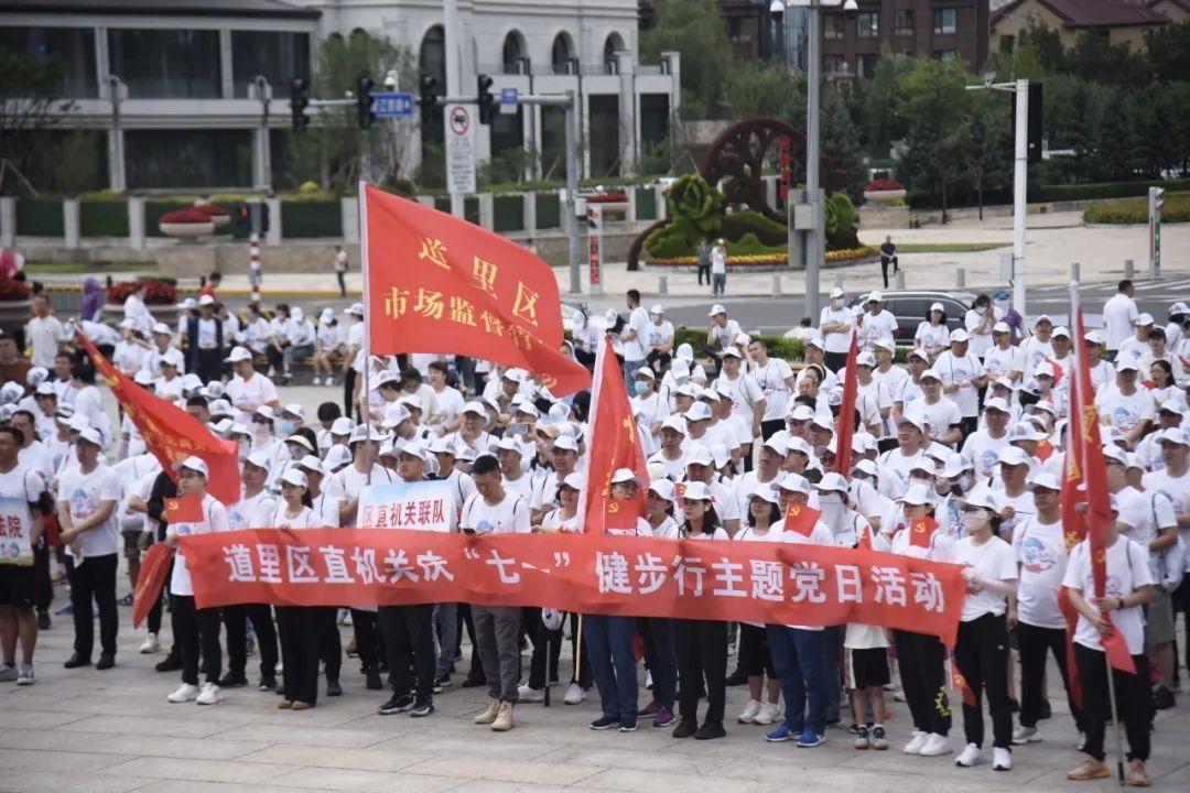 哈尔滨大型绿植盆栽室内批发，繁荣的市场与多元化的选择