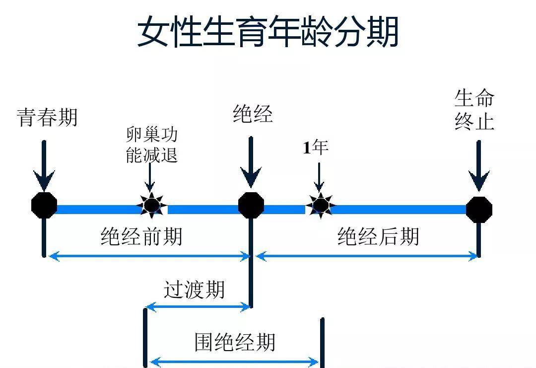 大力马加强线连接主线，提升连接性能与可靠性的关键步骤