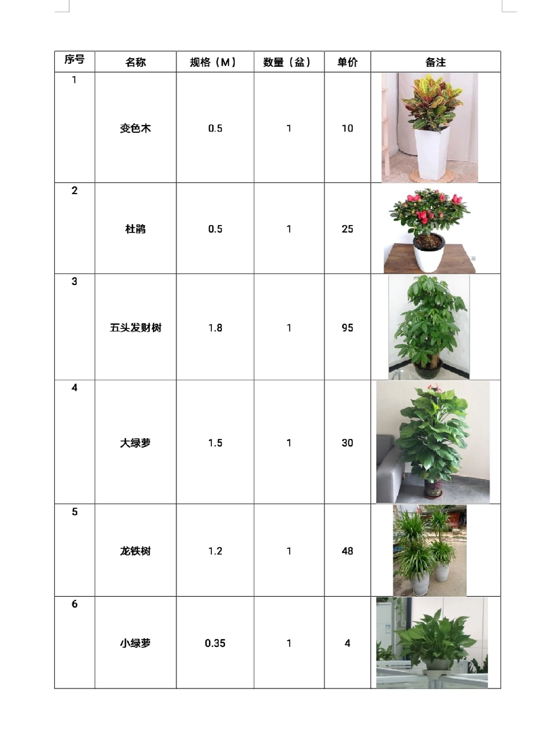 绿植盆栽室内养护报价单详解